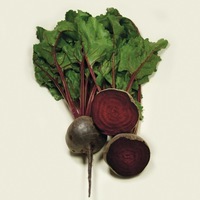 Graines potagères BETTERAVE BIO Detroit 2 BOLIVAR (Beta vulgaris) - Graineterie A. DUCRETTET