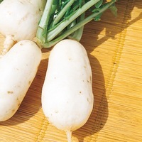 Graines potagères NAVET Marteau (Brassica rapa subsp. rapa) - Graineterie A. DUCRETTET