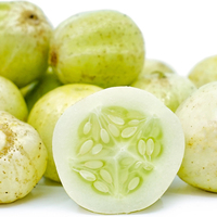  CONCOMBRE COURT et DIVERSIFICATION CONCOMBRE COURT et DIVERSIFICATION-LEMON (Cucumis sativus)-Graines biologique certifiées - Graineterie A. DUCRETTET
