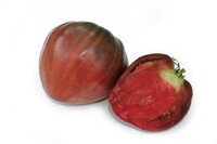  TOMATE ALLONGEE TOMATE ALLONGEE-COEUR DE BOEUF NOIRE (Solanum lycopersicum)-Graines non traitées - Graineterie A. DUCRETTET