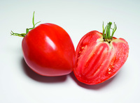  TOMATE ALLONGEE TOMATE ALLONGEE-AS DE COEUR F1 (Solanum lycopersicum)-Graines non traitées - Graineterie A. DUCRETTET