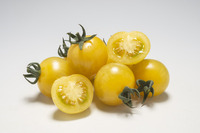Graines potagères TOMATE COCKTAIL SUNLEMON F1 (Solanum lycopersicum) - Graineterie A. DUCRETTET