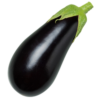  AUBERGINE AUBERGINE-SHARAPOVA F1 (Solanum melongena)-Graines non traitées - Graineterie A. DUCRETTET