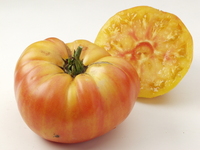  TOMATE CÔTELEE TOMATE CÔTELEE-ANANAS (Solanum lycopersicum)-Graines non traitées - Graineterie A. DUCRETTET