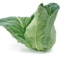 Graines potagères CHOU CABUS SONSMA F1 (Brassica oleracera capitata alba) - Graineterie A. DUCRETTET