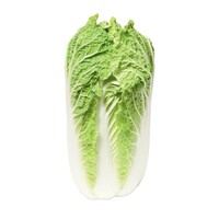  CHOUX CHINOIS PE TSAI CHOUX CHINOIS PE TSAI-ENDURO F1 (Brassica rapa subsp. pekinensis)-Graines de précision biologiques certifiées - Graineterie A. DUCRETTET