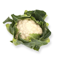 Graines potagères CHOU-FLEUR CHAMBORD F1 (Brassica oleracea botrytis botrytis) - Graineterie A. DUCRETTET