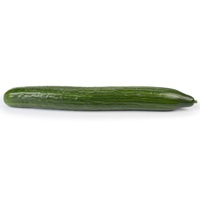 Graines potagères CONCOMBRE LONG HOLLANDAIS VERDON F1 (Cucumis sativus) - Graineterie A. DUCRETTET