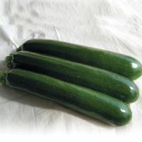 Graines potagères COURGETTE verte cylindrique BIO PIXAR F1 - Graineterie A. DUCRETTET