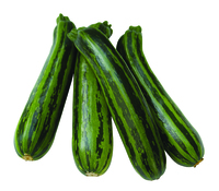 Graines potagères COURGETTE de diversification GREEN TIGER - Graineterie A. DUCRETTET