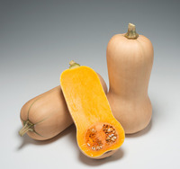 Graines potagères COURGE BUTTERNUT GRANOR F1 (Cucurbita Moschata) - Graineterie A. DUCRETTET