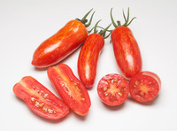  TOMATE ALLONGEE TOMATE ALLONGEE-SWEET CASADY F1 (Solanum lycopersicum)-Graines non traitées - Graineterie A. DUCRETTET