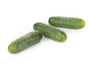 Graines potagères CORNICHON BRIDGE F1 (Cucumis sativus) - Graineterie A. DUCRETTET