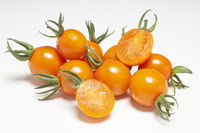  TOMATE COCKTAIL TOMATE COCKTAIL-SUNORANGE F1 (Solanum lycopersicum)-Graines non traitées - Graineterie A. DUCRETTET