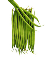 Graines potagères HARICOT NAIN MANGETOUT CUPIDON (Phaseolus vulgaris) - Graineterie A. DUCRETTET