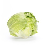 Graines potagères LAITUE ICEBERG - plein champ JASPERINAS - Graineterie A. DUCRETTET