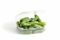 Graines potagères CONCOMBRE COURT et DIVERSIFICATION QUARTINO F1 (Cucumis sativus) - Graineterie A. DUCRETTET