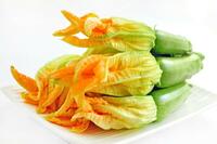 Graines potagères COURGETTE de diversification GABIANO F1 (Cucurbita pepo) - Graineterie A. DUCRETTET