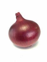 Graines potagères OIGNON RUBYSTAR F1 (Allium cepa) - Graineterie A. DUCRETTET