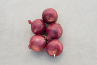 Graines potagères OIGNON RED CARPET F1 (Allium cepa) - Graineterie A. DUCRETTET
