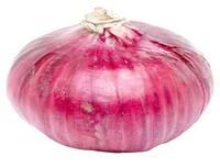 Graines potagères OIGNON ROUGE DE TOULOUGES (Allium cepa) - Graineterie A. DUCRETTET