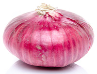 Graines potagères OIGNON ROUGE DE TOULOUGES - Graineterie A. DUCRETTET