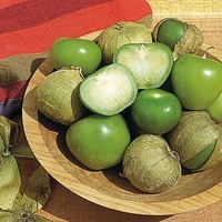Graines potagères PHYSALIS Toma verde (Physalis ixocarpa) - Graineterie A. DUCRETTET