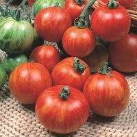  TOMATE RONDE TOMATE RONDE-TIGERELLA F1 (Solanum lycopersicum)-Graines non traitées - Graineterie A. DUCRETTET