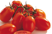  TOMATE ALLONGEE TOMATE ALLONGEE-SIXTINA F1 (Solanum lycopersicum)-Graines non traitées - Graineterie A. DUCRETTET