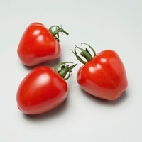  TOMATE CERISE TOMATE CERISE-GARDENBERRY F1 (Solanum lycopersicum)-Graines non traitées - Graineterie A. DUCRETTET