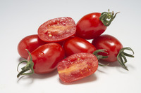 Graines potagères TOMATE CERISE DATTORED F1 (Solanum lycopersicum) - Graineterie A. DUCRETTET