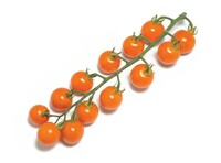 Production maraichère - TOMATE CERISE - Graineterie A. DUCRETTET