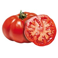  TOMATE CÔTELEE TOMATE CÔTELEE-MARMANDE sélection ADOUR (Solanum lycopersicum)-Graines biologiques certifiées - Graineterie A. DUCRETTET