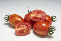 Graines potagères TOMATE COCKTAIL MONETINA F1 (Solanum lycopersicum) - Graineterie A. DUCRETTET
