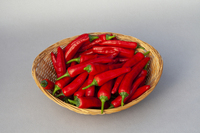  PIMENT et POIVRON de potée PIMENT et POIVRON de potée-CAYENNETA (Capsicum annuum)-Graines non traitées - Graineterie A. DUCRETTET