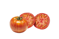  TOMATE RONDE TOMATE RONDE-9L48 (Solanum lycopersicum)-Graines non traitées - Graineterie A. DUCRETTET