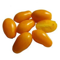 Graines potagères TOMATE CERISE DATTOYELLOW (Solanum lycopersicum) - Graineterie A. DUCRETTET
