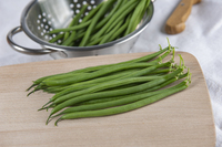 Graines potagères HARICOT NAIN MANGETOUT GRILLON (Phaseolus vulgaris) - Graineterie A. DUCRETTET