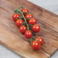 Graines potagères TOMATE CERISE RUBYFIZZ (Solanum lycopersicum) - Graineterie A. DUCRETTET