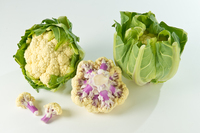 Graines potagères CHOU-FLEUR BICOLI F1 (Brassica oleracea var. botrytis) - Graineterie A. DUCRETTET