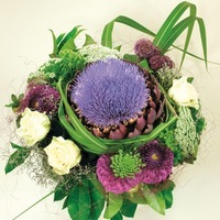 Graines de fleurs CYNARA OPERA (Cynara cardunculus) - Graineterie A. DUCRETTET