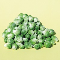 Graines potagères CHOU DE BRUXELLES DORIC F1 (Brassica oleracea gemmifera) - Graineterie A. DUCRETTET