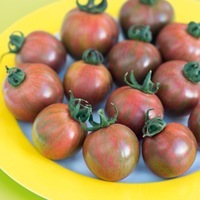 Graines potagères TOMATE CERISE ARTISAN Purple Bumble Bee - Graineterie A. DUCRETTET