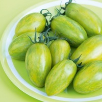 Graines potagères TOMATE CERISE ARTISAN Green Tiger - Graineterie A. DUCRETTET