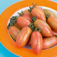 Graines potagères TOMATE CERISE ARTISAN Pink Tiger - Graineterie A. DUCRETTET