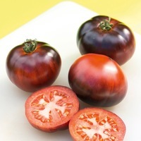  TOMATE RONDE TOMATE RONDE-INDIGO APPLE (Solanum lycopersicum)-Graines non traitées - Graineterie A. DUCRETTET