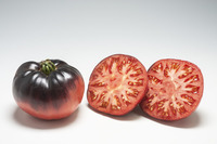  TOMATE CÔTELEE TOMATE CÔTELEE-INDIGO BLUE BEAUTY (Solanum lycopersicum)-Graines biologique certifiées - Graineterie A. DUCRETTET