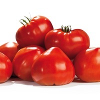  TOMATE ALLONGEE TOMATE ALLONGEE-GOURMANDIA F1 (Solanum lycopersicum)-Graines non traitées - Graineterie A. DUCRETTET