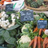 Graines Potagères : grand choix de graines potagères sur Ducrettet