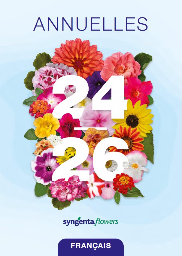 Syngenta Flowers